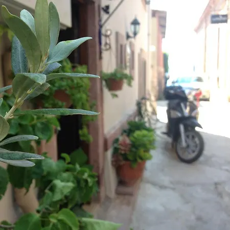 Kidalyo - Special Category Ayvalik