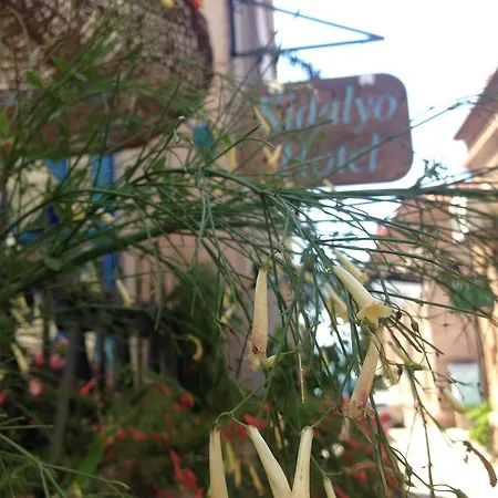 Kidalyo - Special Category