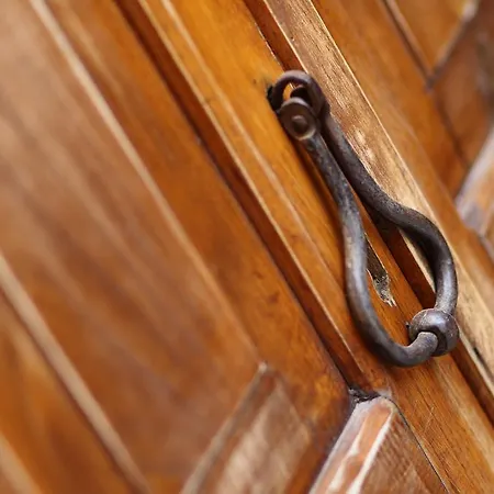 Kidalyo - Special Category * Ayvalı