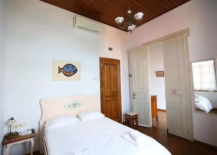 מלון Kidalyo - Special Category