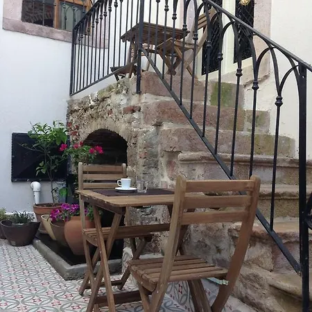 Kidalyo - Special Category *