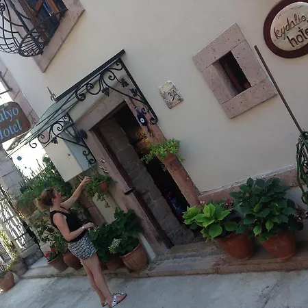 Hotel Kidalyo - Special Category Ayvalı