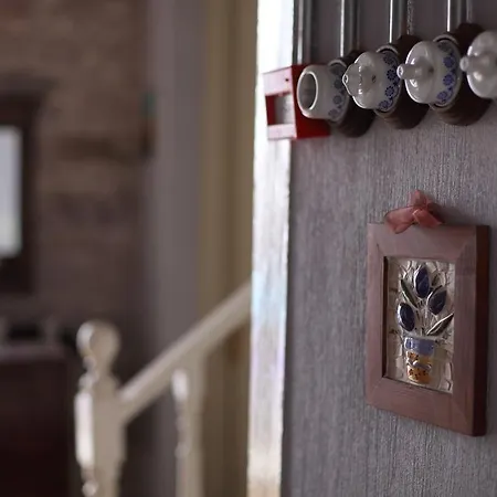 Hotel Kidalyo - Special Category