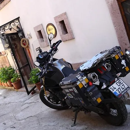 Kidalyo - Special Category Ayvalı